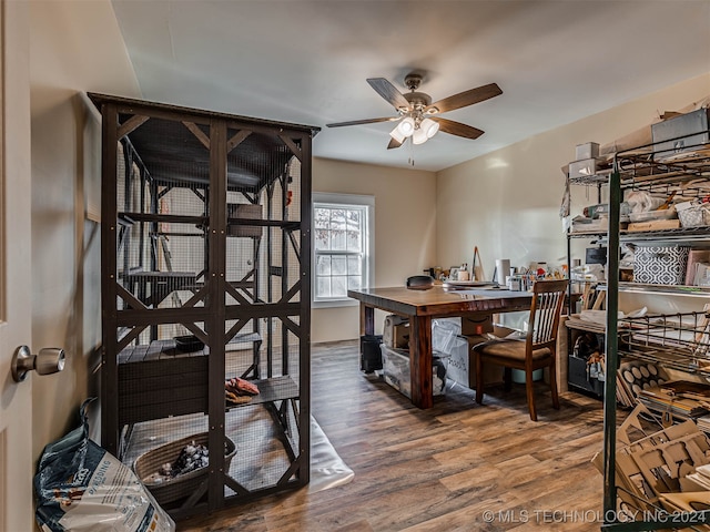 office with dark hardwood / wood-style floors and ceiling fan