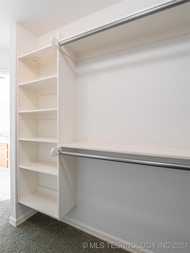 spacious closet featuring carpet flooring