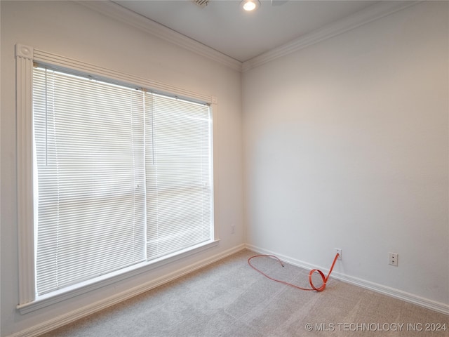 empty room with light carpet and crown molding