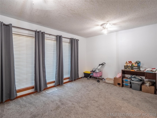 misc room with carpet and a textured ceiling