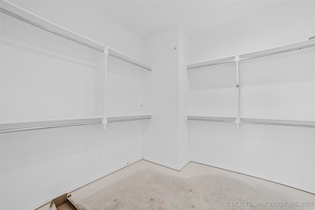 view of spacious closet