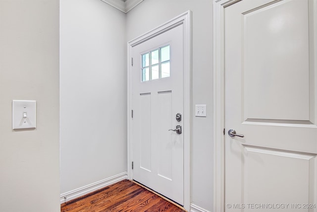 entryway featuring dark wood-type flooring