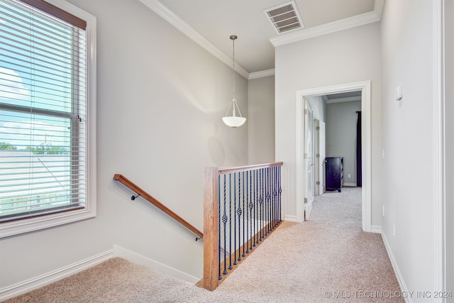 hallway with carpet flooring, ornamental molding, and a wealth of natural light