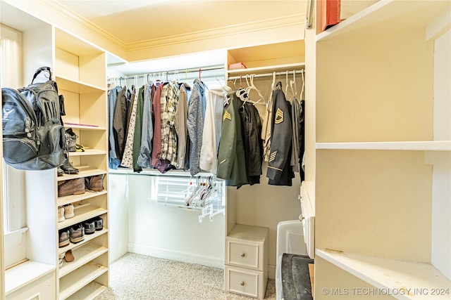 spacious closet with carpet flooring