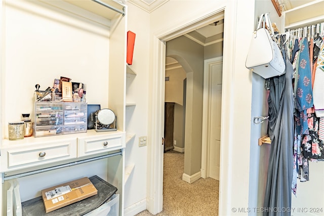 walk in closet with light carpet