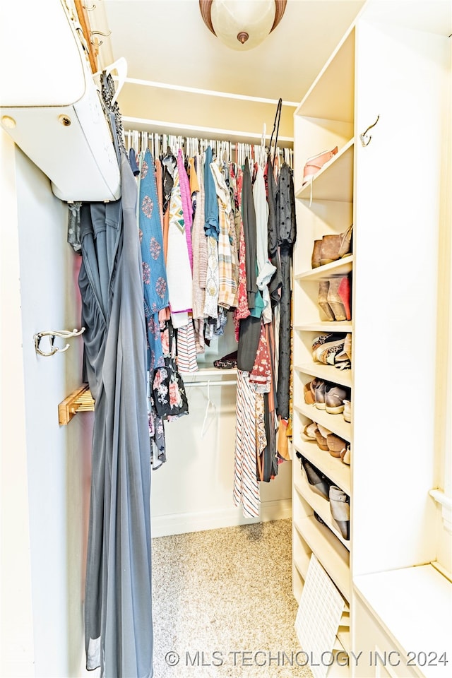 view of spacious closet