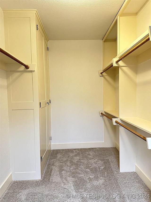 spacious closet with carpet flooring