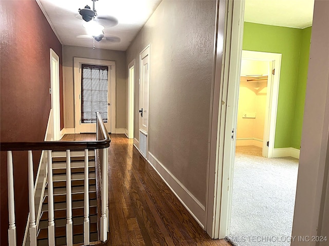 hallway with dark hardwood / wood-style flooring