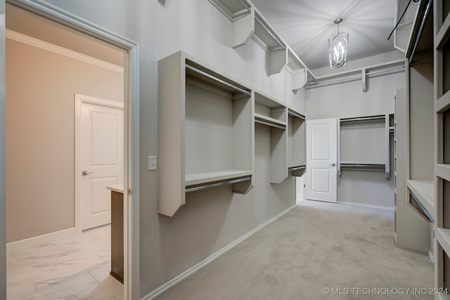 walk in closet with light colored carpet