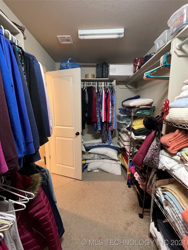 walk in closet with carpet flooring