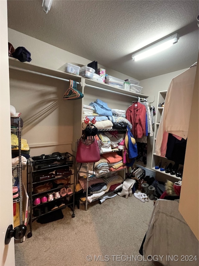 walk in closet featuring carpet floors