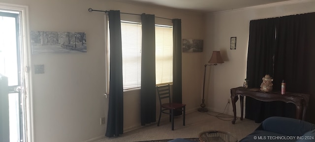 living room with light colored carpet