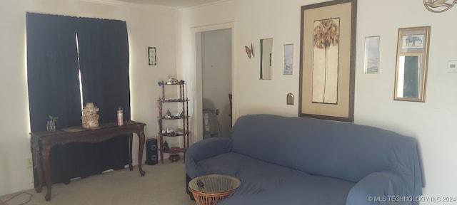 carpeted living room featuring crown molding