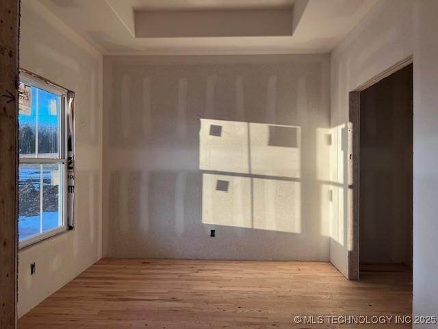 empty room featuring a tray ceiling and light wood-type flooring