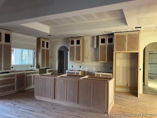 kitchen with a tray ceiling, light hardwood / wood-style flooring, and a kitchen island