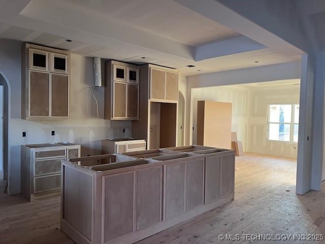 kitchen with a center island, a raised ceiling, and light hardwood / wood-style flooring