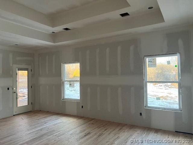 empty room featuring a raised ceiling, light hardwood / wood-style flooring, and a healthy amount of sunlight