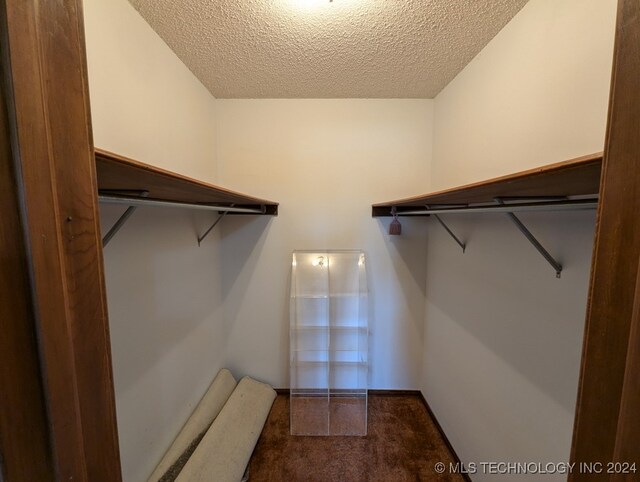 spacious closet with dark colored carpet