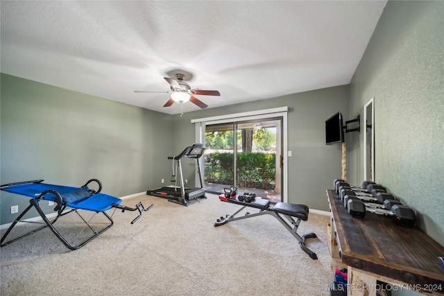 exercise room featuring ceiling fan, carpet floors, and a textured ceiling