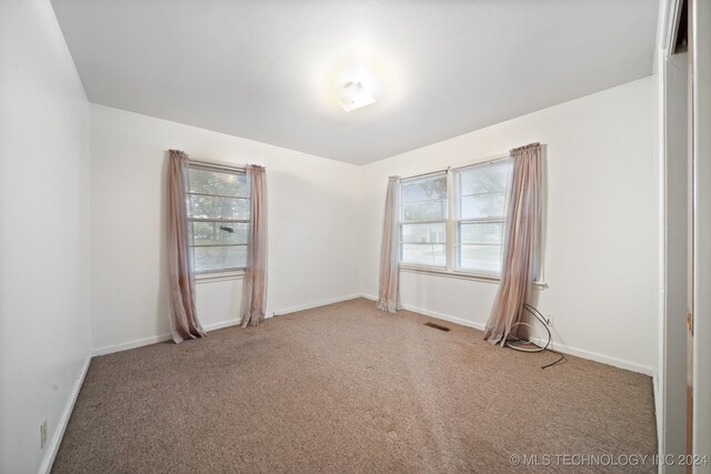 spare room featuring plenty of natural light and carpet flooring