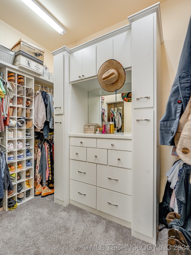 walk in closet with light colored carpet