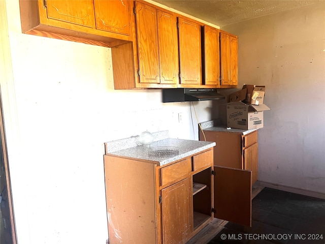 kitchen featuring range hood