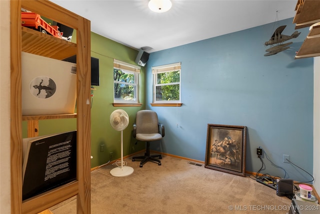 sitting room with carpet