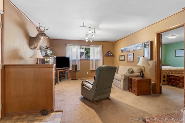 carpeted living room featuring track lighting