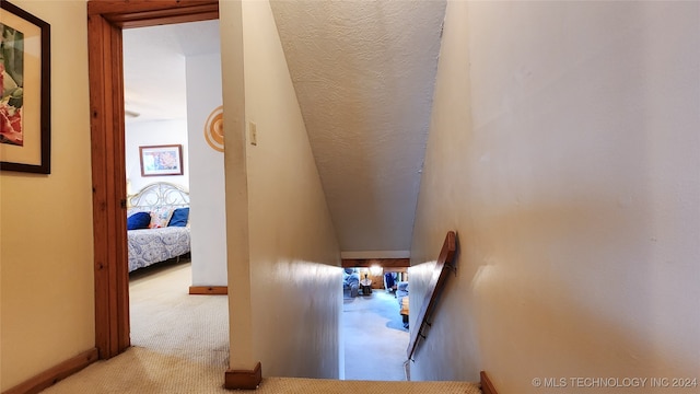 interior space with light carpet and a textured ceiling