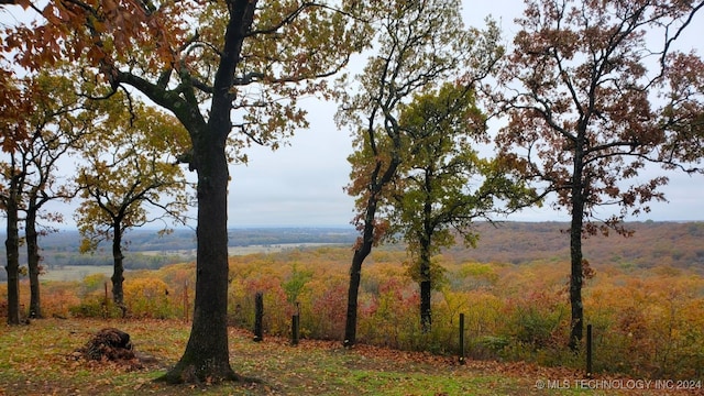 view of local wilderness featuring a rural view