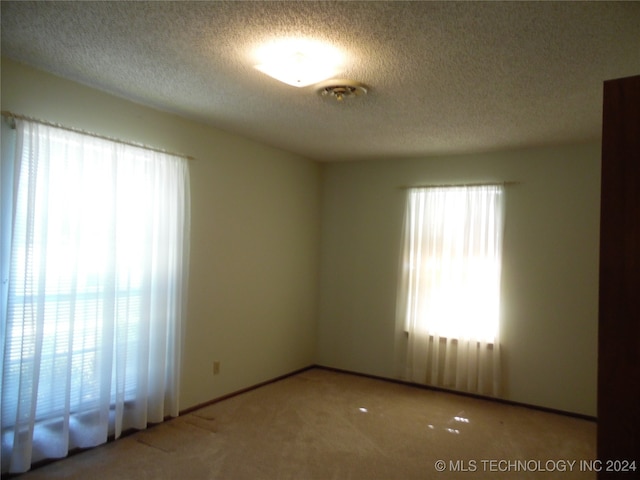 unfurnished room featuring a textured ceiling, plenty of natural light, and carpet flooring