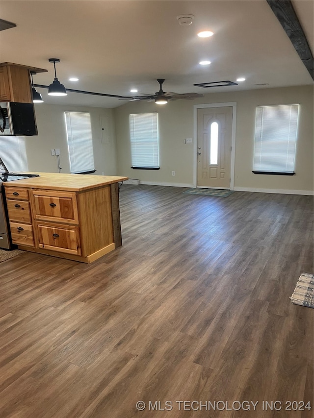 kitchen featuring appliances with stainless steel finishes, dark hardwood / wood-style flooring, hanging light fixtures, and ceiling fan