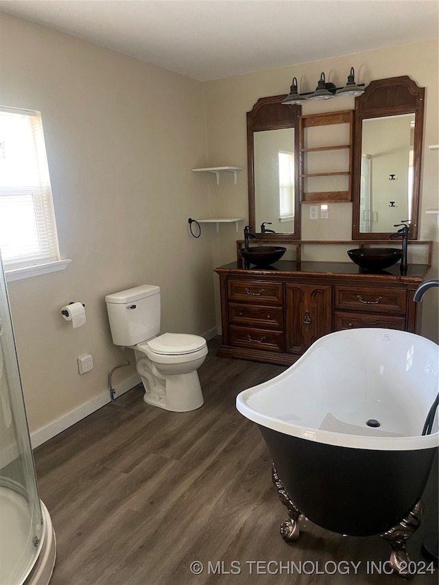 bathroom with plenty of natural light, wood-type flooring, and vanity