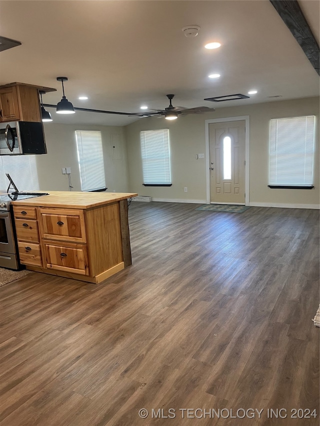 kitchen featuring ceiling fan, dark hardwood / wood-style floors, pendant lighting, and appliances with stainless steel finishes