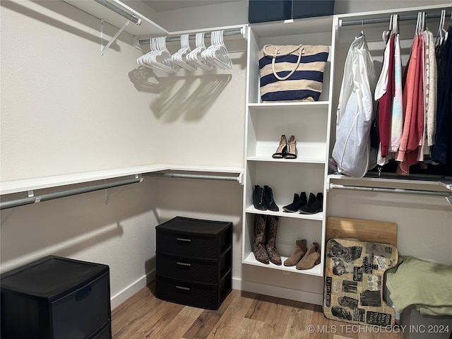 spacious closet featuring wood-type flooring