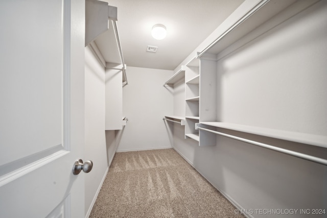 spacious closet featuring light carpet