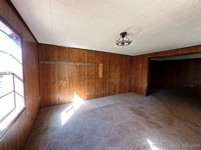 spare room featuring wood walls and carpet