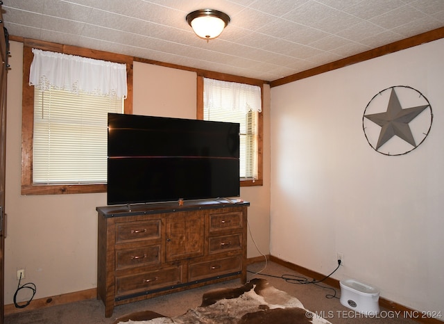 living room with light carpet