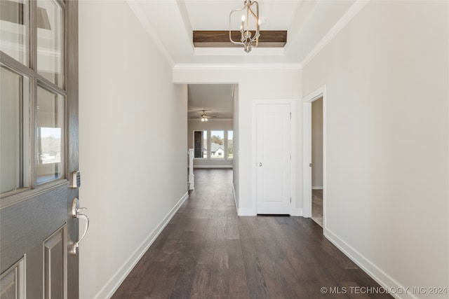 entryway featuring ceiling fan with notable chandelier, dark hardwood / wood-style flooring, crown molding, and a tray ceiling