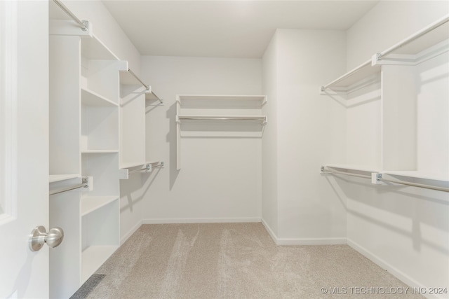 spacious closet featuring light carpet