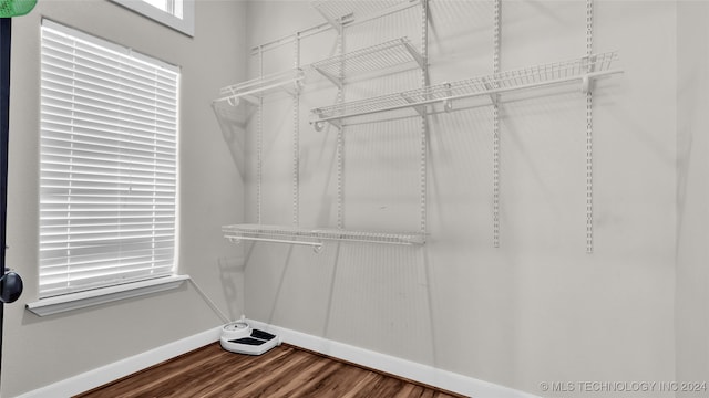 walk in closet featuring wood-type flooring