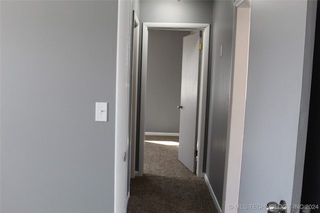 corridor featuring carpet floors