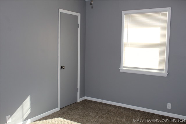 spare room with carpet floors