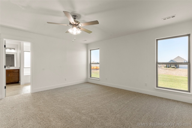 spare room featuring light colored carpet and a wealth of natural light