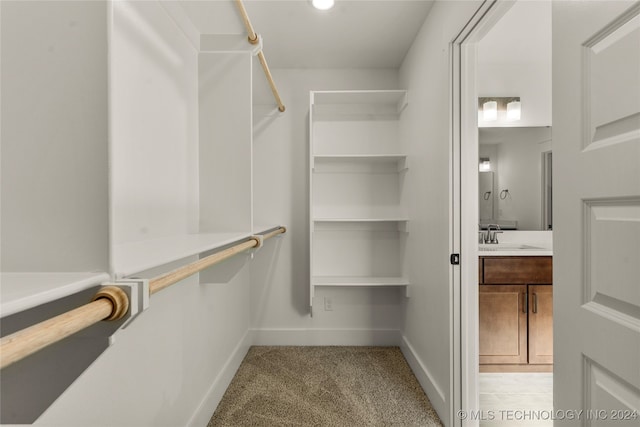 spacious closet featuring sink and light colored carpet