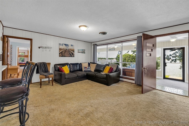 living room featuring a textured ceiling, carpet flooring, and wood walls