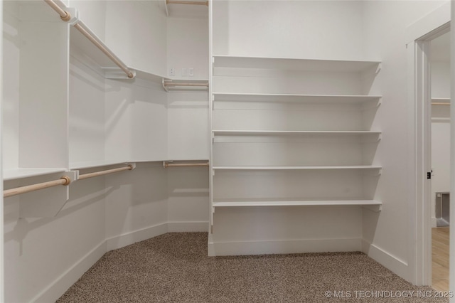 spacious closet featuring carpet flooring