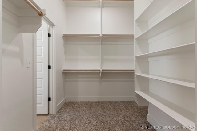 walk in closet featuring carpet