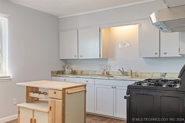 kitchen featuring sink, white cabinetry, exhaust hood, light wood-type flooring, and a wealth of natural light