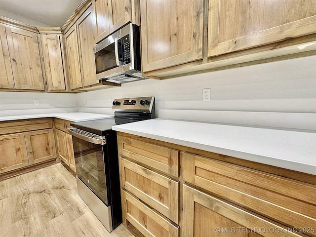 kitchen with stainless steel appliances and light wood-type flooring